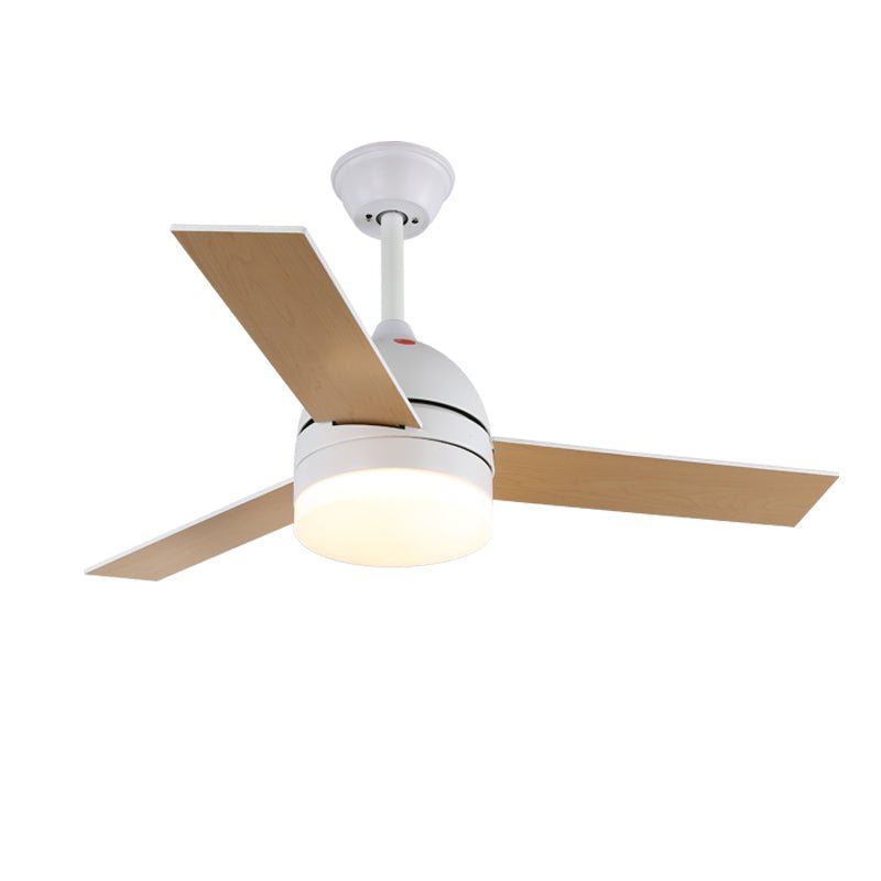 Minimalist Ceiling Fan with Lighting — Selena - Lamylie