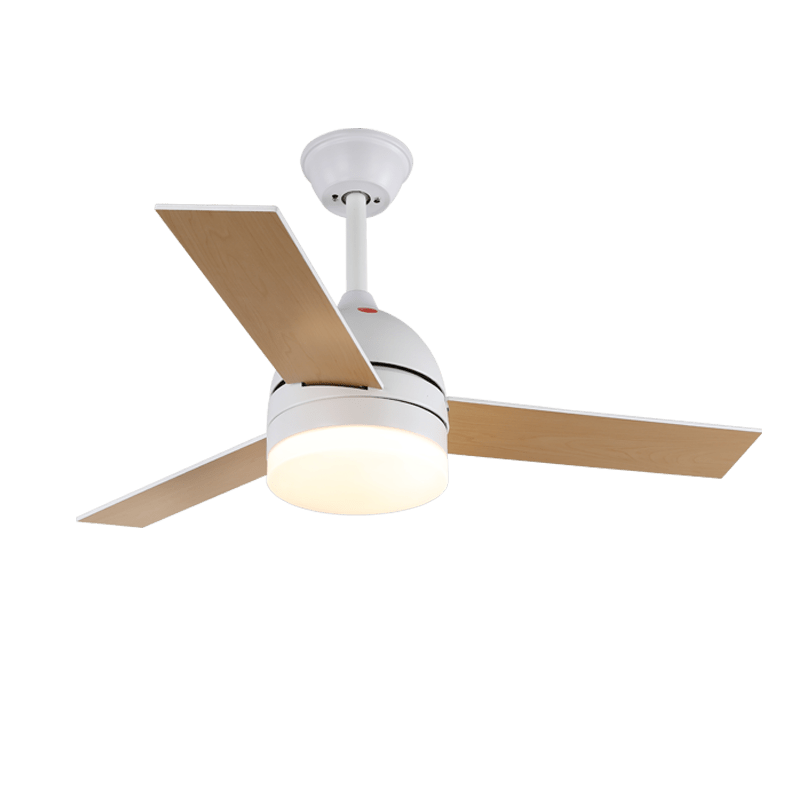 Minimalist Ceiling Fan with Lighting — Selena - Lamylie