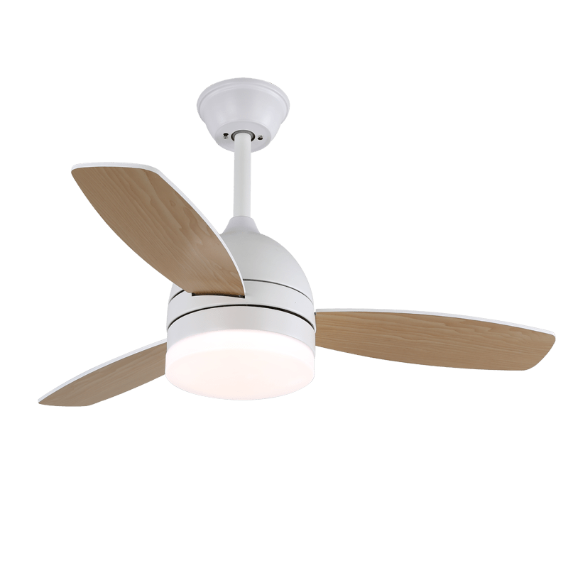 Minimalist Ceiling Fan with Lighting — Selena - Lamylie