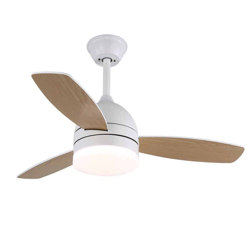 Minimalist Ceiling Fan with Lighting — Selena - Lamylie