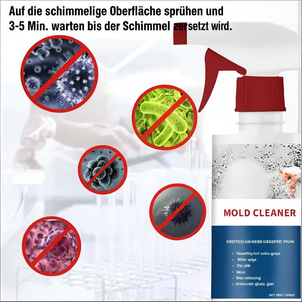 Schimmelentferner für Wände und Textilien – Lamylie
