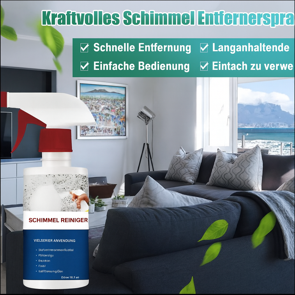 Mold Remover – Finally Free from Hazardous Mold - Lamylie