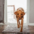 Alfombrilla PawGuard – Mantén tu hogar limpio - Lamylie