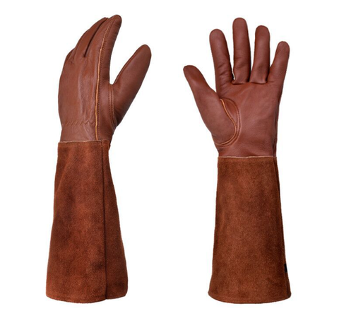 Hand Protection for Pain-Free Handling of Roses - Lamylie