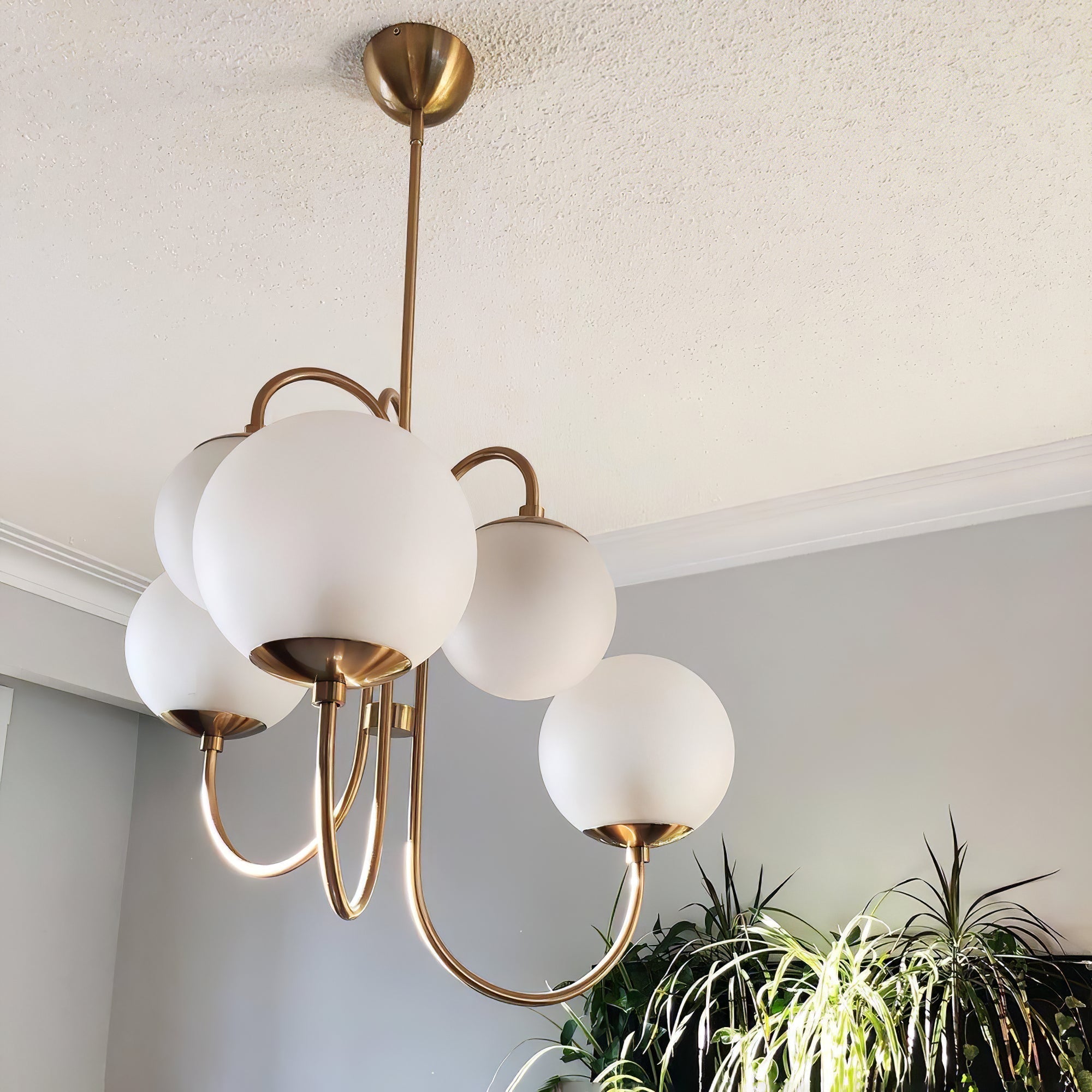 Schwanenhals-Kronleuchter Ø76 cm | 8-flammige Pendelleuchte mit Glasgloben Gold/Schwarz - Lamylie