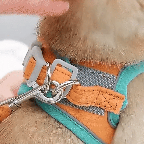 Pettorina confortevole per gatti - stile VeloraPaw - Lamylie