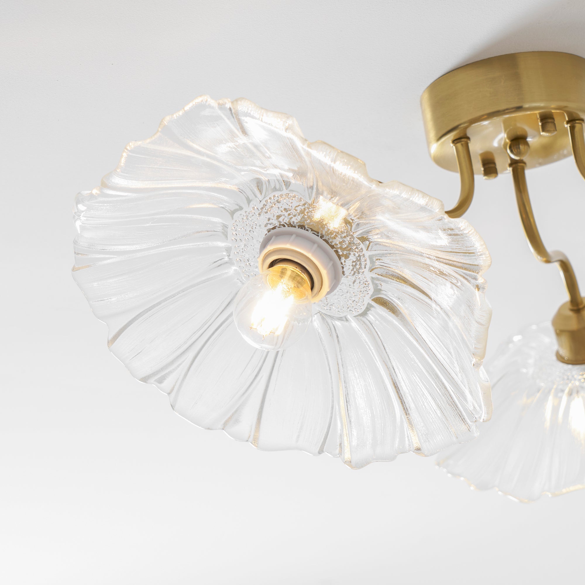 Glas-Deckenlampe mit Blattmotiv | 3, 5 oder 6 Lichtpunkte | Goldene Fassung mit Klarem oder Rosa Mattglas - Lamylie