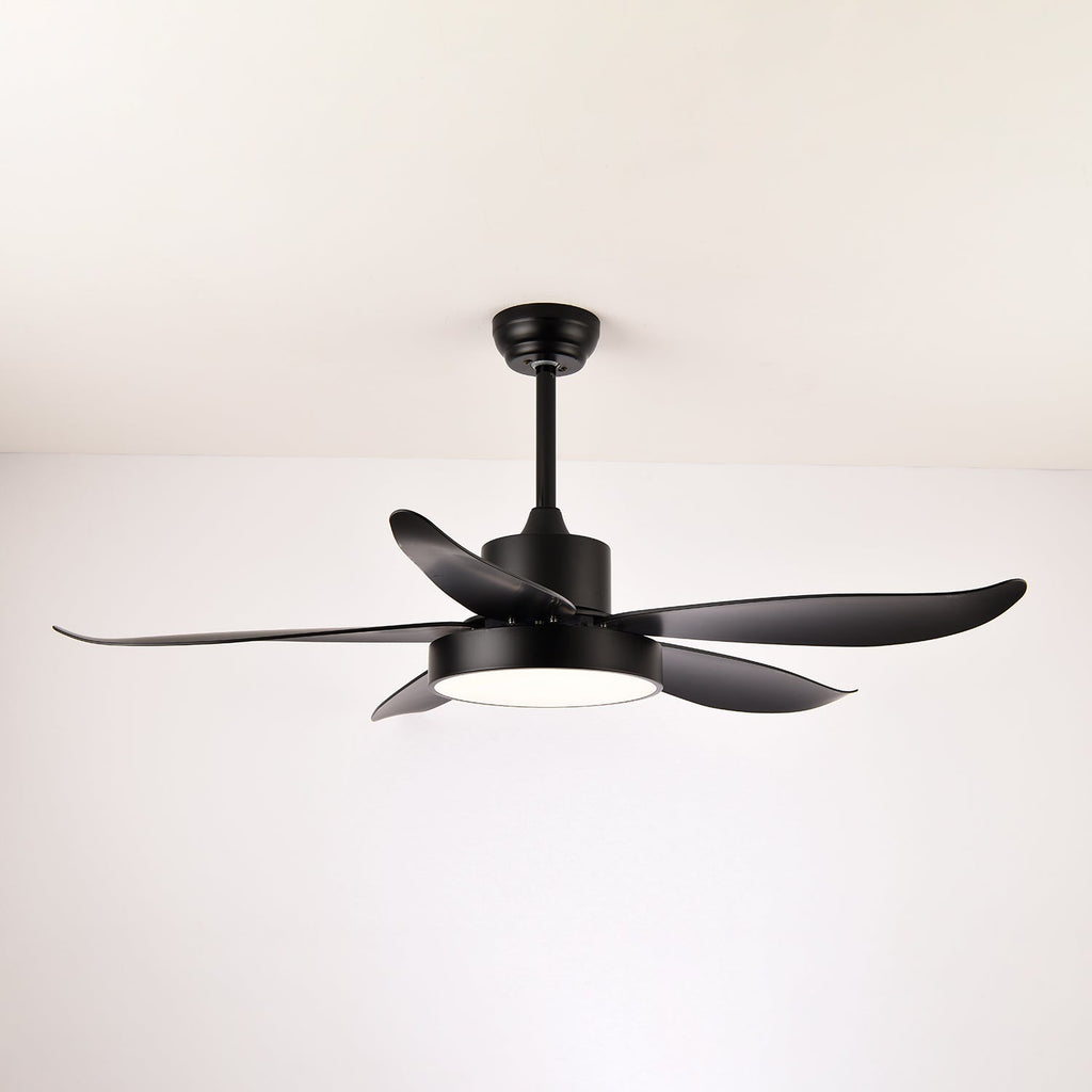 Modern takfläkt Auron med integrerad LED-belysning | Tyst och stilren – Lamylie