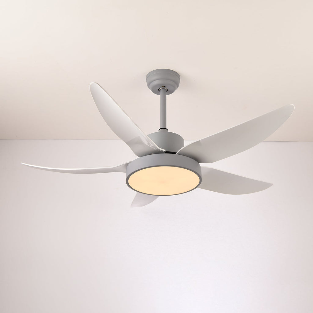 Modern takfläkt Auron med integrerad LED-belysning | Tyst och stilren – Lamylie