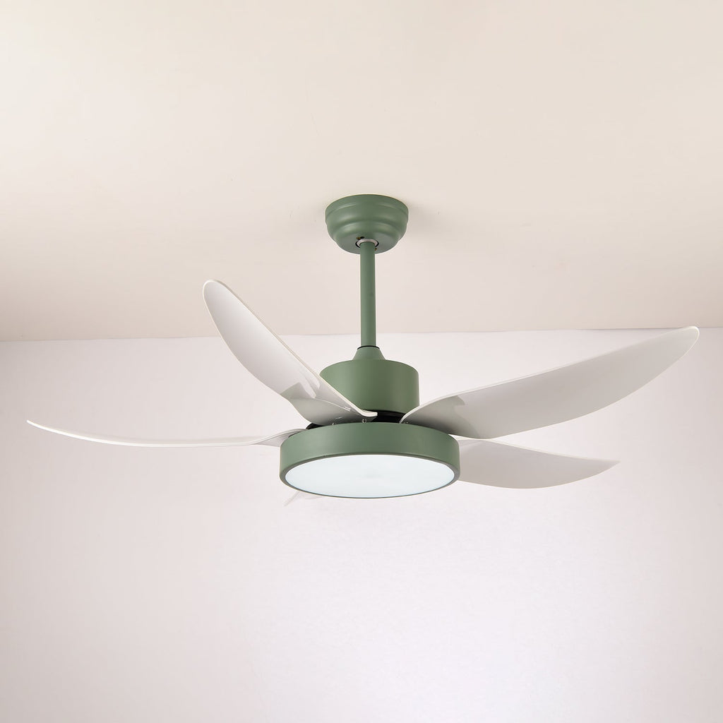 Modern takfläkt Auron med integrerad LED-belysning | Tyst och stilren – Lamylie