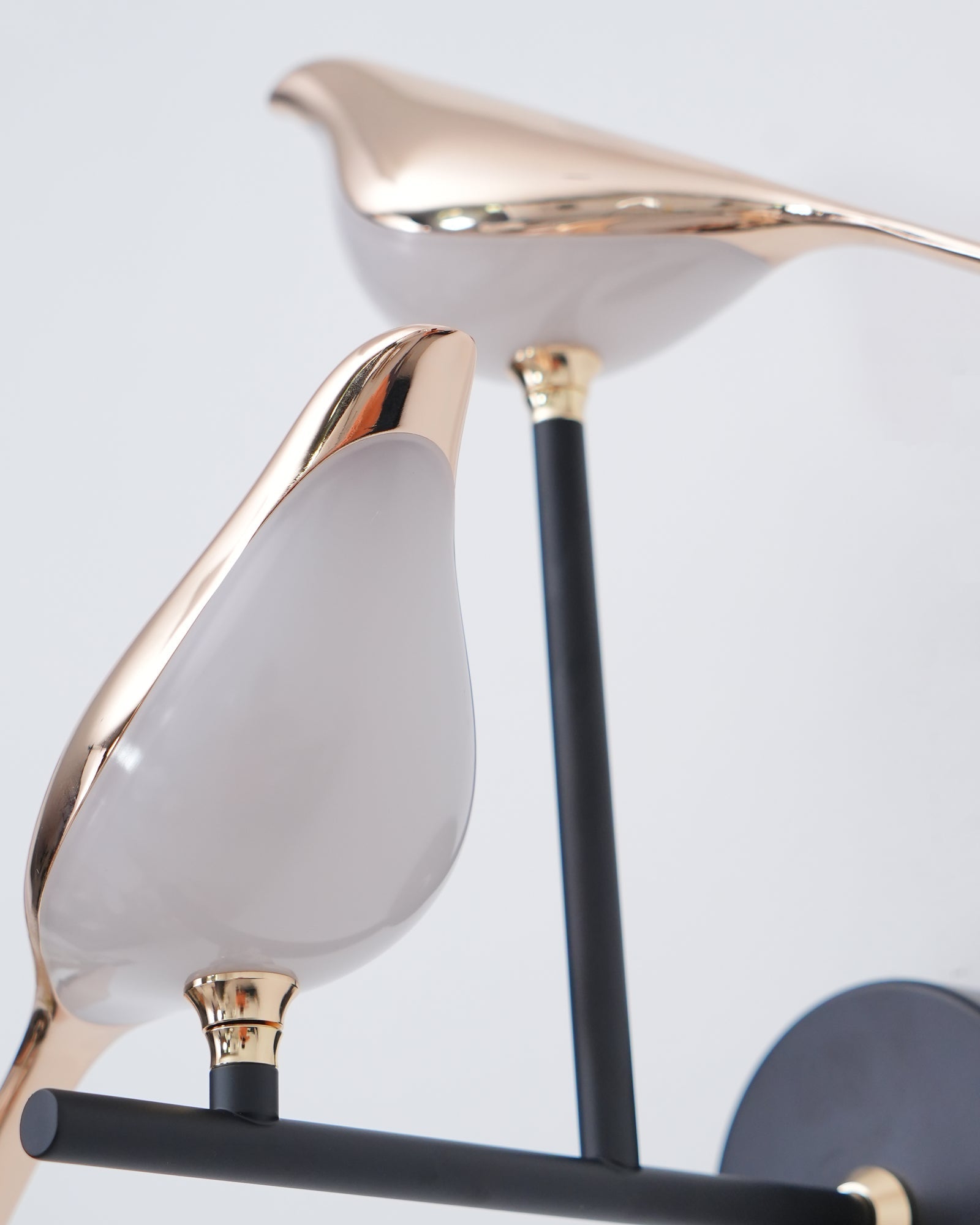 Wall Lamp with Bird Motif and Adjustable Lamp Arms | Black & Rose Gold Design 1 or 2 Light Points Magnetic Bird Modern Decorative Lighting - Lamylie