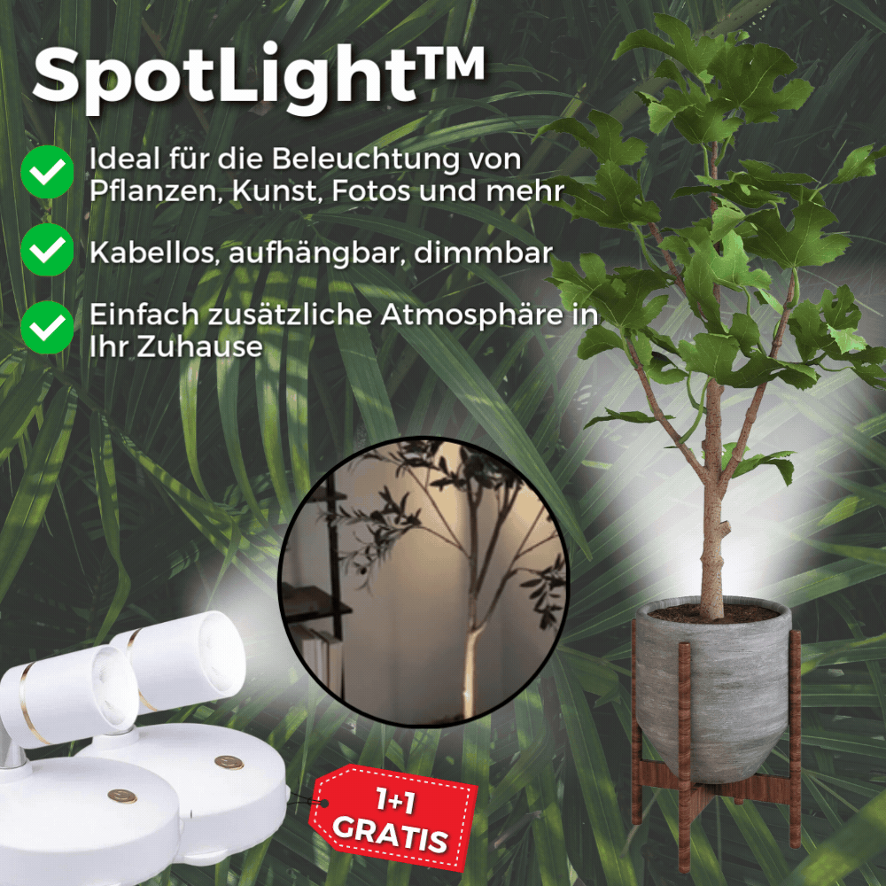Kabellose LED-Lampe – Dimmbar mit Fernbedienung, kabellos - Lamylie