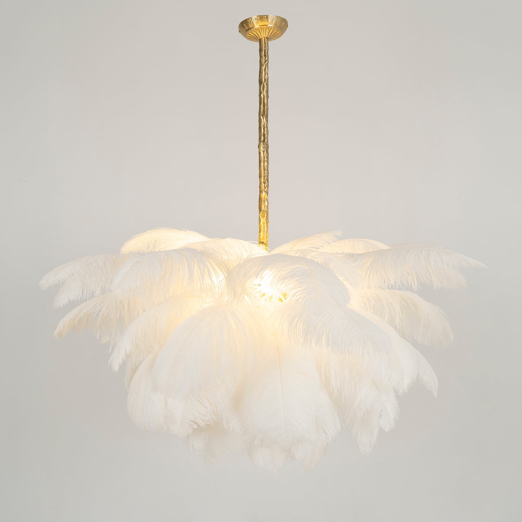 Feder-Kronleuchter 56 Handcolorierte Federn Messingfassung Gold Silber Hollywood Glamour Statement-Beleuchtung - Lamylie