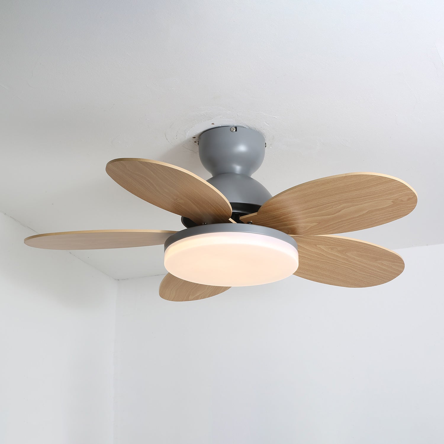 Liora Ceiling Fan with Lighting and Colored Glass Leaves for Children's Room | Modern Ceiling Fan with LED and Remote Control | Adjustable Speed Ceiling Fan with Light in Multiple Color Variants - Lamylie