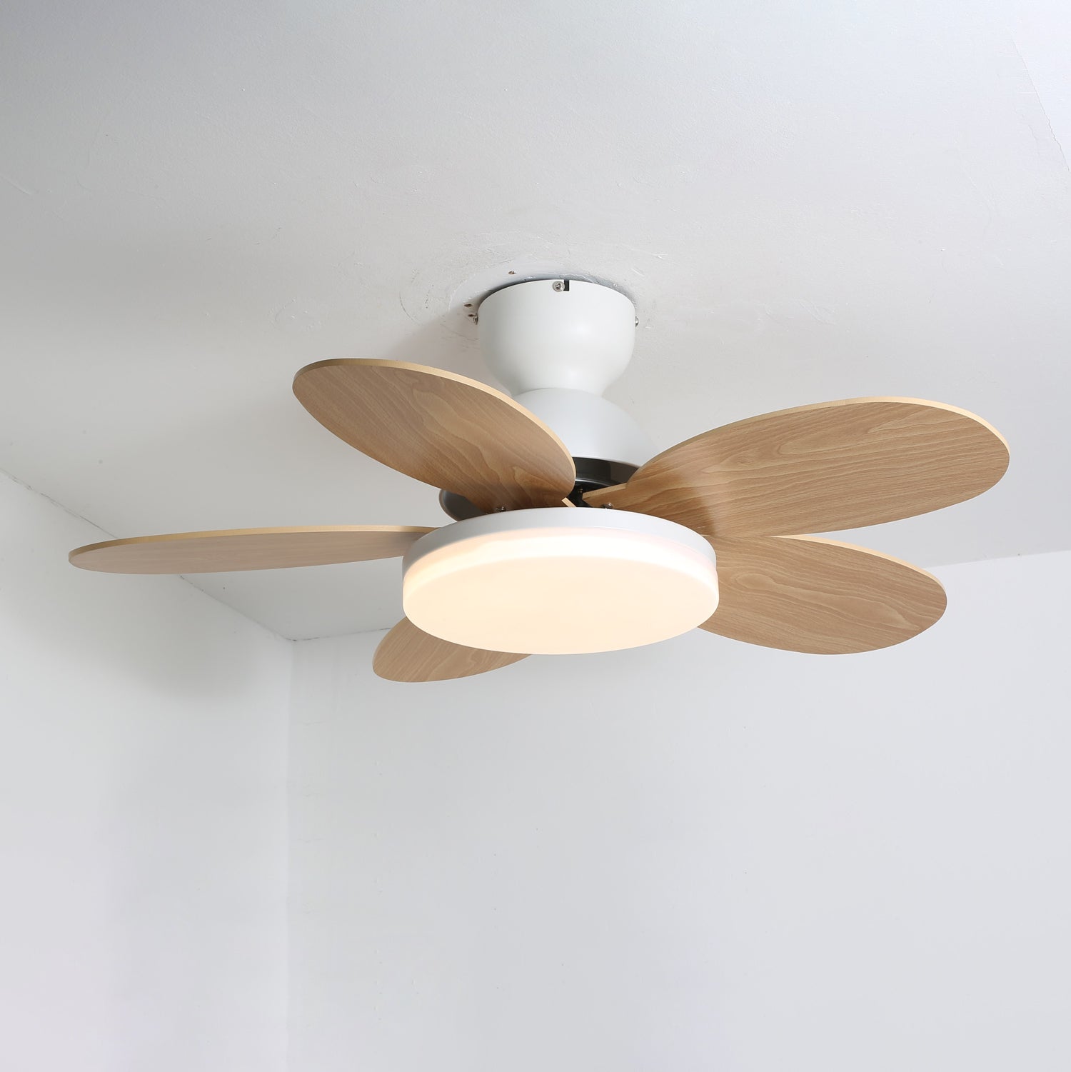 Liora Ceiling Fan with Lighting and Colored Glass Leaves for Children's Room | Modern Ceiling Fan with LED and Remote Control | Adjustable Speed Ceiling Fan with Light in Multiple Color Variants - Lamylie