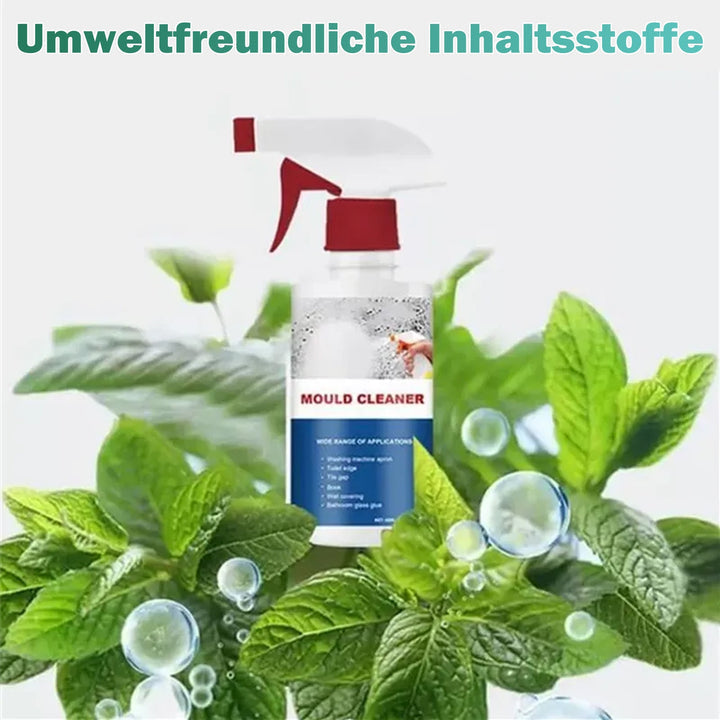 Mold Remover – Finally Free from Hazardous Mold - Lamylie