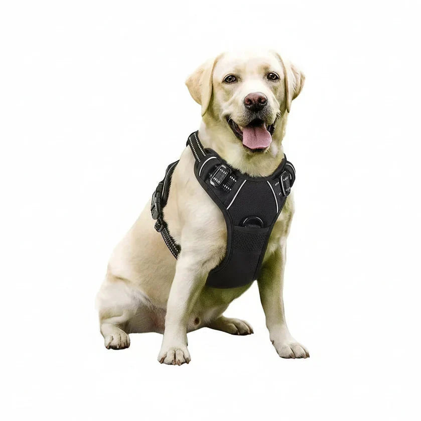 PawsLux Leather Dog Collar, Harness and Leash Set