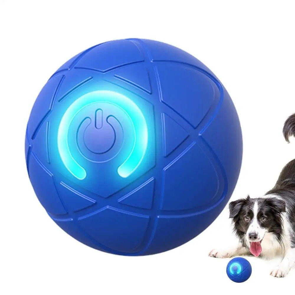 Uendelig sjov bold til hunde og katte - Lamylie