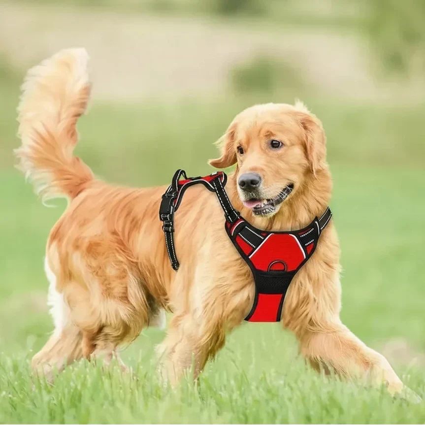 PawsLux Leather Dog Collar, Harness and Leash Set