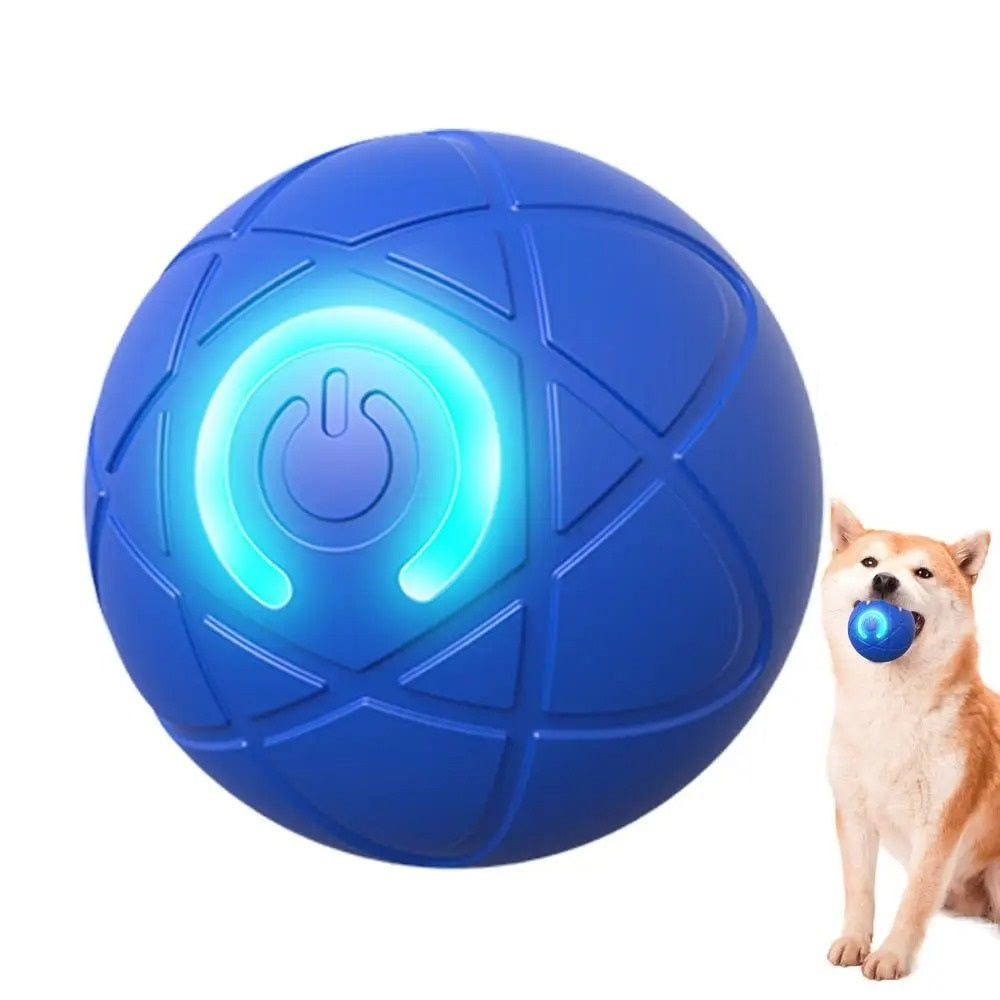 Uendelig sjov bold til hunde og katte - Lamylie