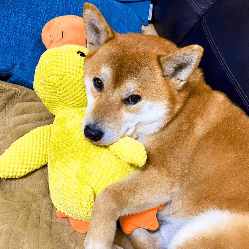Large Soft Duck Plush Toy for Dogs – Durable with Quacking Sound - Lamylie