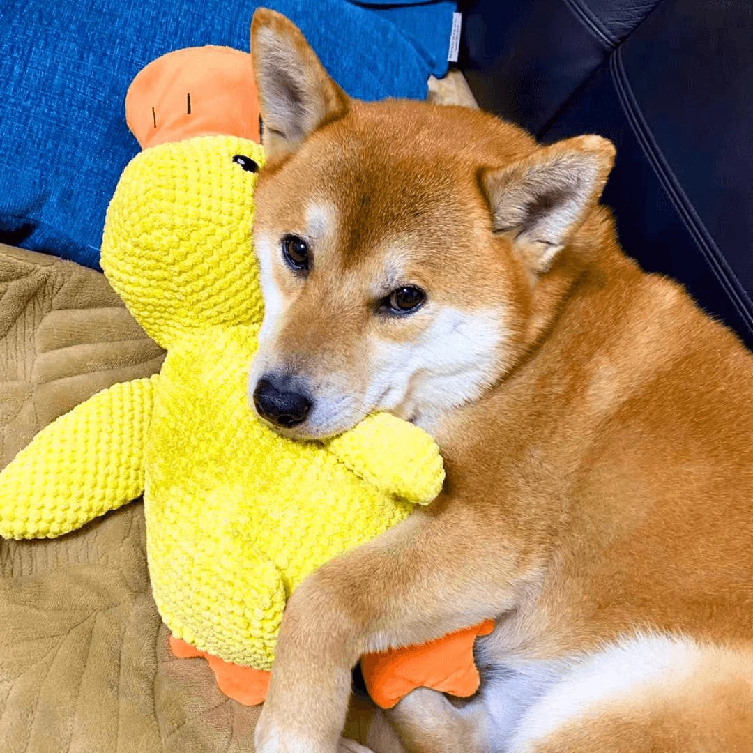 Large Soft Duck Plush Toy for Dogs – Durable with Quacking Sound - Lamylie