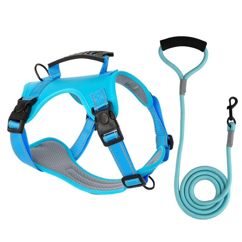 רתמת No-Pull מרופדת HappyPaw — ידית עליונה משולבת, רצועות מרופדות