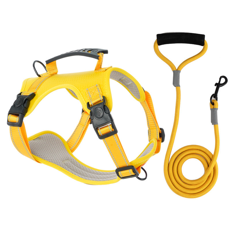רתמת No-Pull מרופדת HappyPaw — ידית עליונה משולבת, רצועות מרופדות