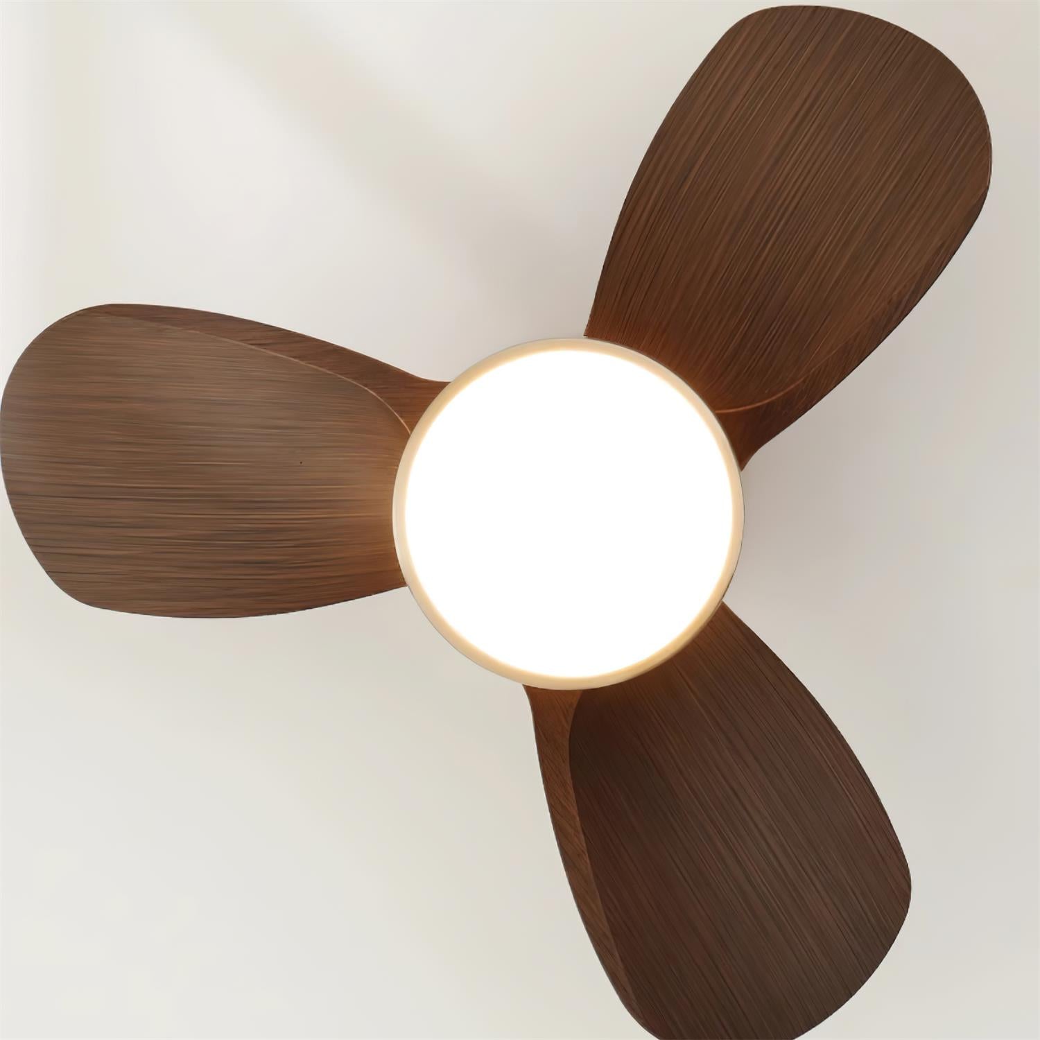 Ceiling Fan with Lighting Wood Metal Ø61cm 18W 6 Speeds Including Remote Control - Lamylie