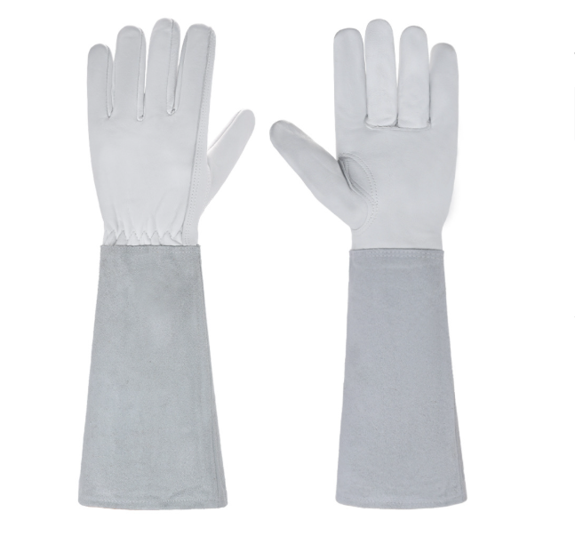 Hand Protection for Pain-Free Handling of Roses - Lamylie