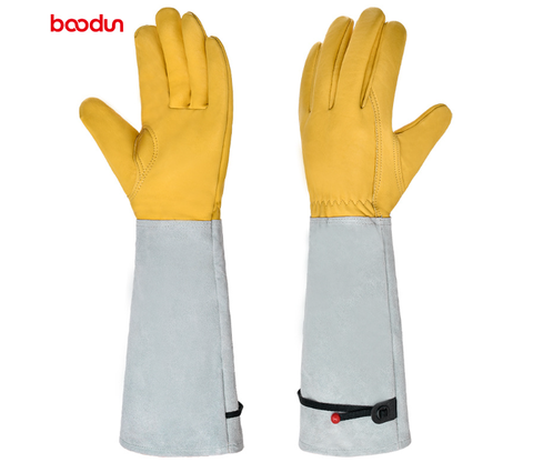 Hand Protection for Pain-Free Handling of Roses - Lamylie