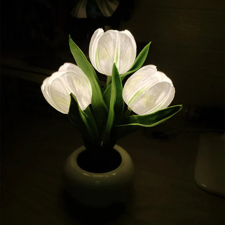Tulip LED Desk Lamp in Ceramic Vase – Warm Ambient Light - Lamylie