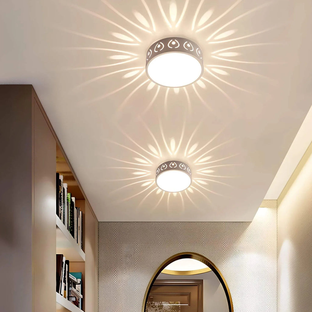 LED Overhead Light Fixture - Lamylie