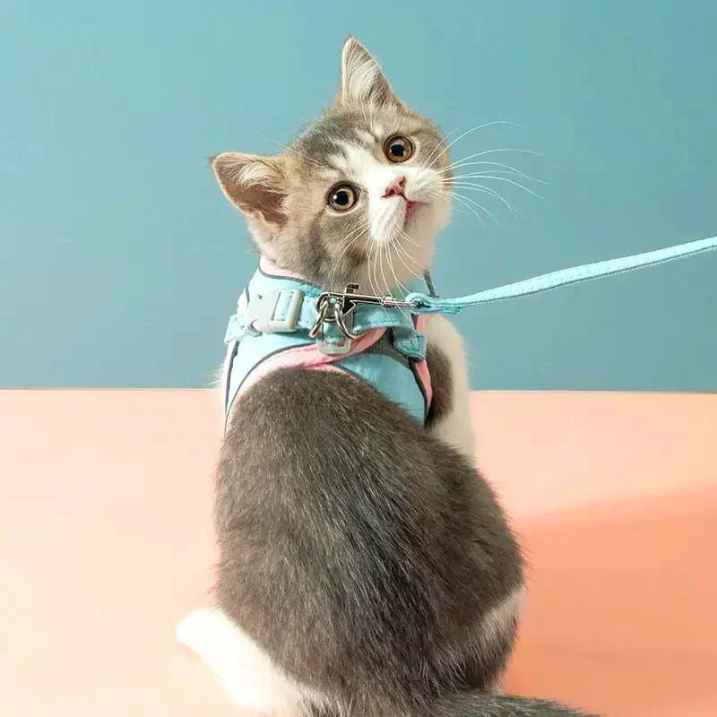 Pettorina confortevole per gatti - stile VeloraPaw - Lamylie