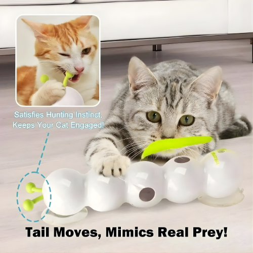 Carnivor — Ignite Your Cat’s Wild Instincts for Non-Stop Play and Sharp Focus - Lamylie