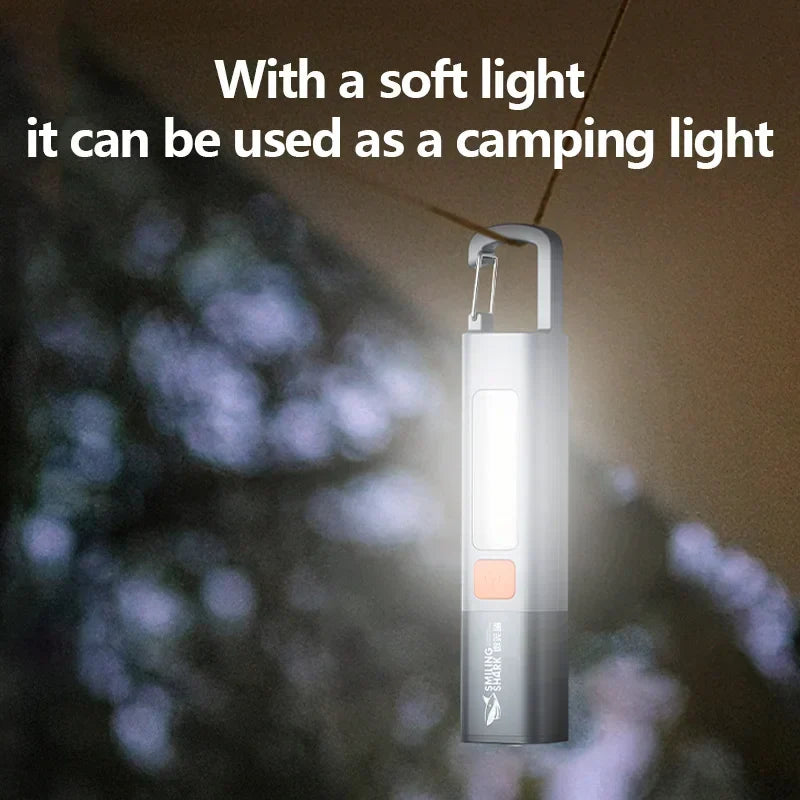 Mini-lampe torche LED avec crochet - Éclairage portable ultra-lumineux - Lamylie