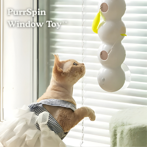 Carnivor — Ignite Your Cat’s Wild Instincts for Non-Stop Play and Sharp Focus - Lamylie