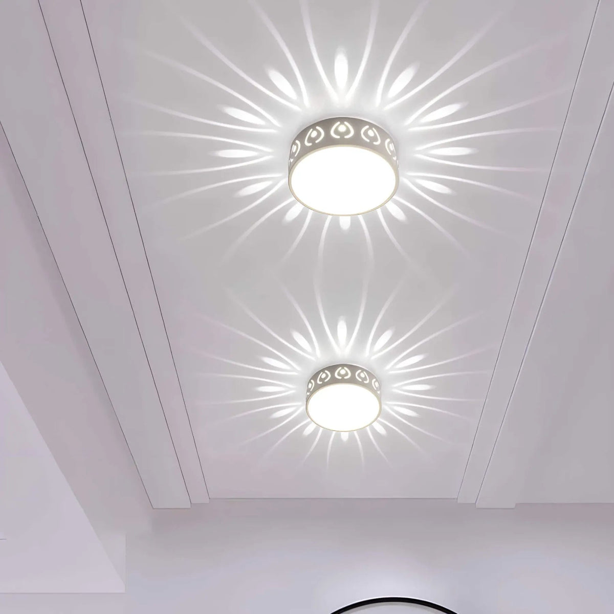 LED Overhead Light Fixture - Lamylie