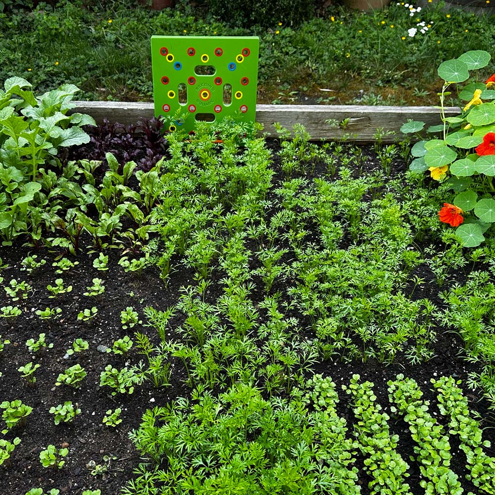 Planteskabelon til køkkenhave | Hjælpemiddel til planteafstand for grøntsager og krydderurter | 30x30 cm haveskabelon med manual – Lamylie