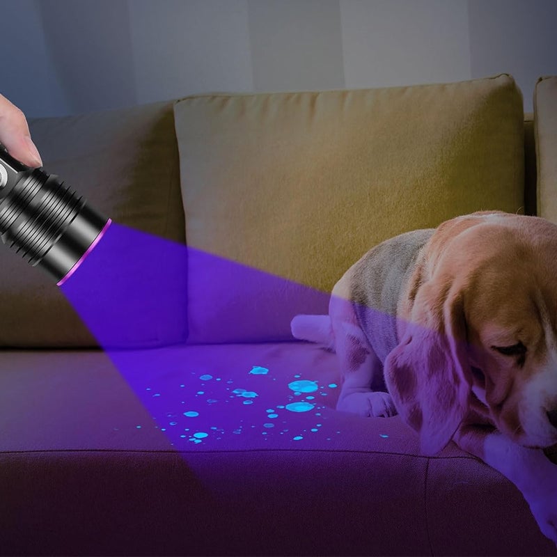 Descubra detalhes ocultos com uma luz UV brilhante - Lamylie