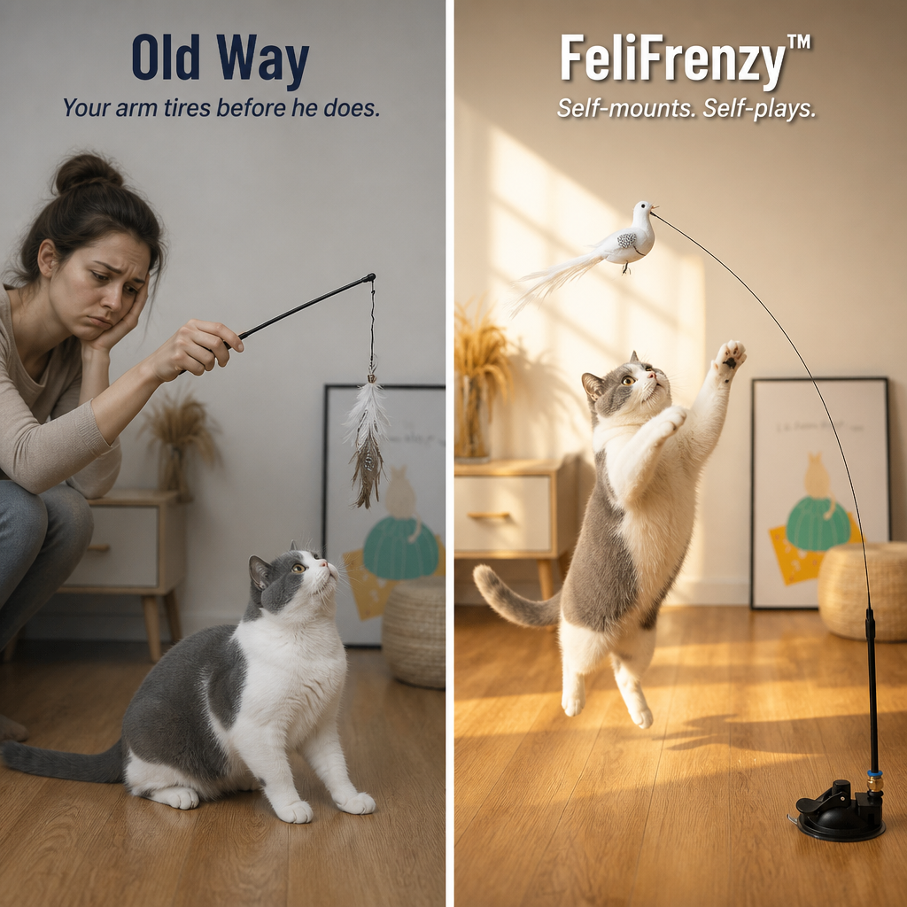 FeliFrenzy — Stick It Down, Walk Away, Watch Your Cat Hunt for Hours - Lamylie
