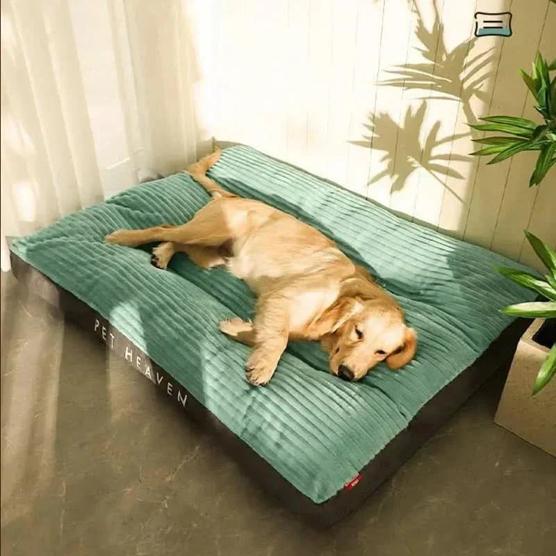 Lit orthopédique pour chien pour un sommeil confortable – Soutien optimal et douceur – Lamylie