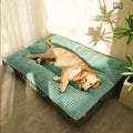 Lit orthopédique pour chien pour un sommeil confortable – Soutien optimal et douceur – Lamylie