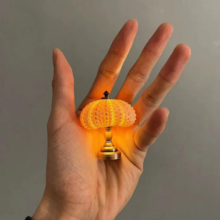 Sea Urchin Evening Lamp - Lamylie