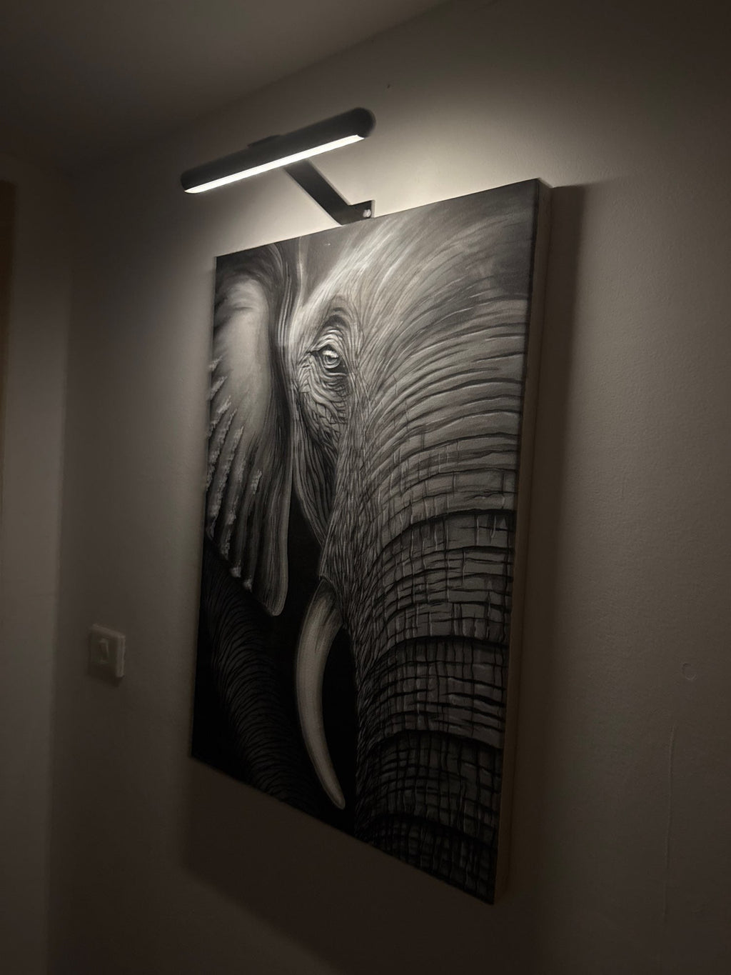 Wireless LED Art Light – Adjustable Wall Lamp for Display Pieces - Lamylie