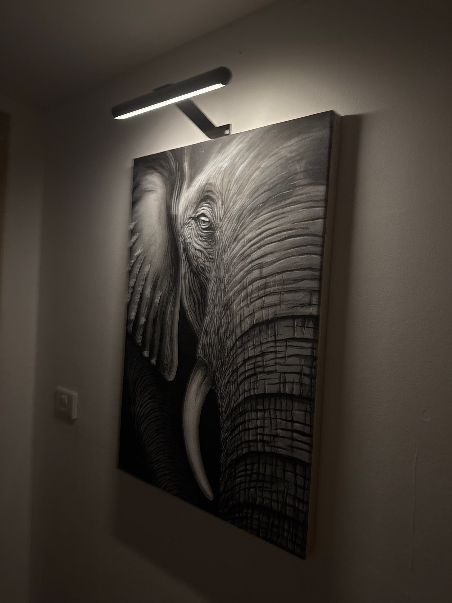 Wireless LED Art Light – Adjustable Wall Lamp for Display Pieces - Lamylie