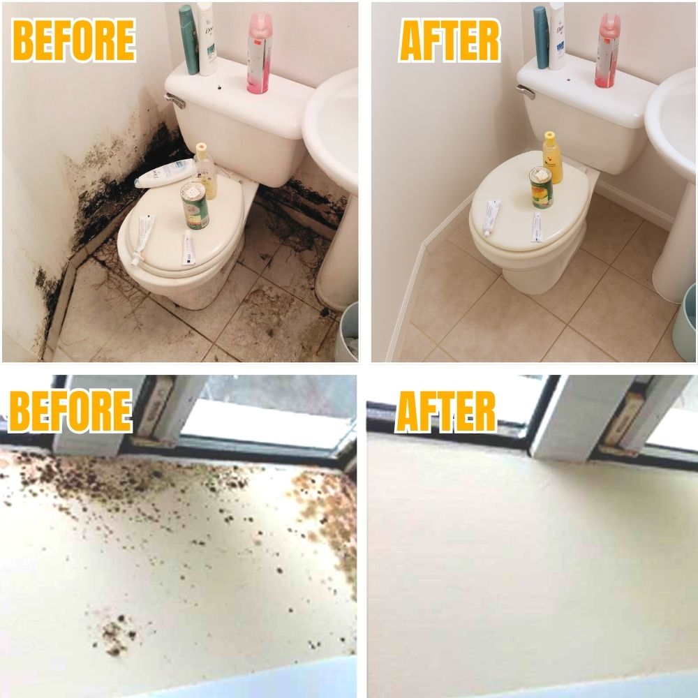 Mold-Free Home Air Quality Solution for Comfortable Breathing - Lamylie