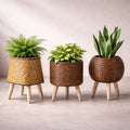 Pot pour plantes avec support en bois | Texture de panier tressé | Convient à l’intérieur comme à l’extérieur | Plantara - Lamylie