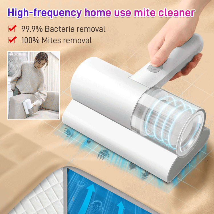 Allergen-Free Bed Solution for a Clean Sleep Environment - Lamylie