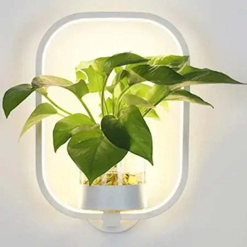 LED Botanical Wall Light with Glass Vase – Oval & Round - Lamylie